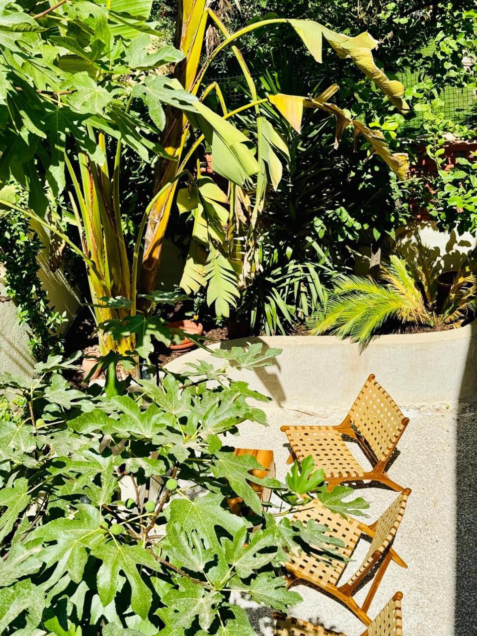 Maison Lyo Suite Luxe Cannes Exteriér fotografie